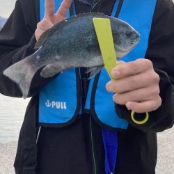 夕まずめの飲ませ