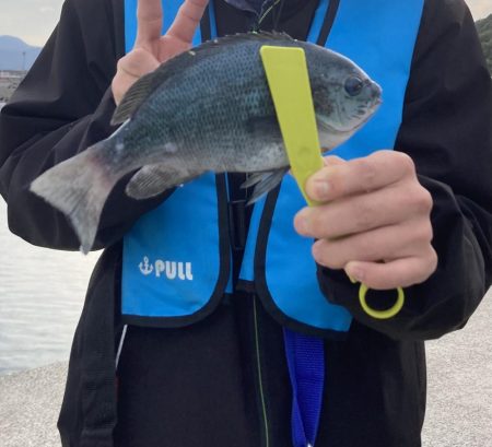 夕まずめの飲ませ