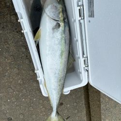 やっと出ました！