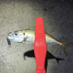 ちょっと渋かった