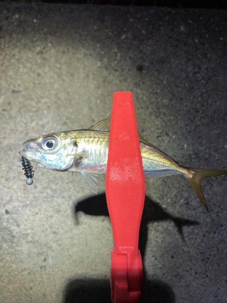 ちょっと渋かった