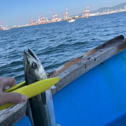 神戸沖キャスティング