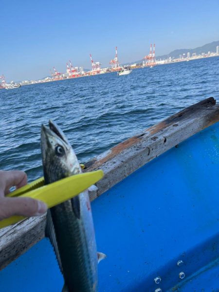 神戸沖キャスティング