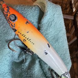 カマスパターン