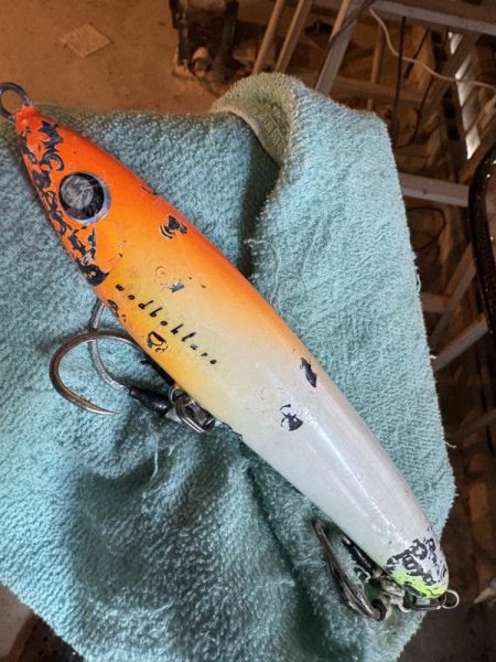 カマスパターン