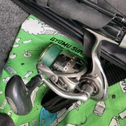 朝マズメのカマス釣りで7匹GET