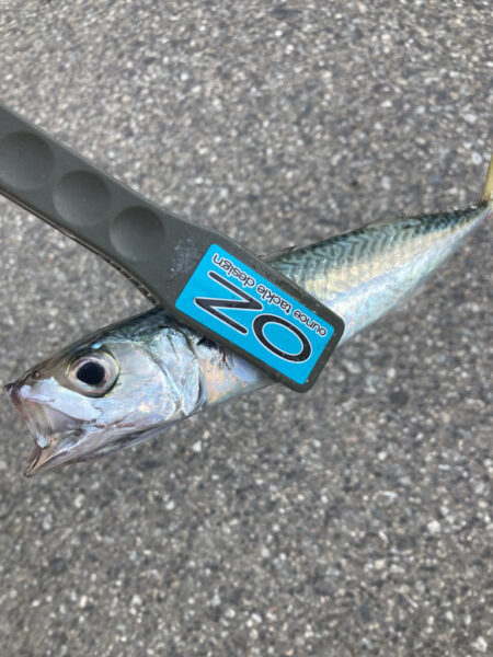 朝マズメのフロートリグでアジGET