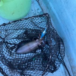 ボートエギングなど