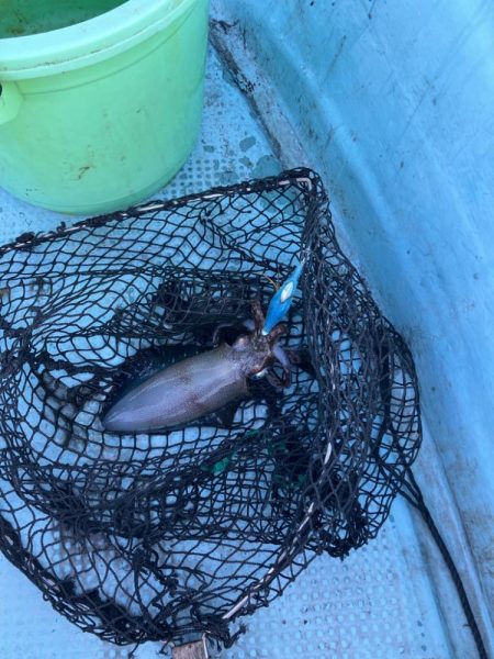 ボートエギングなど