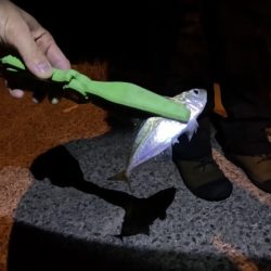 旅先ちょこっとライトゲーム