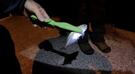 旅先ちょこっとライトゲーム