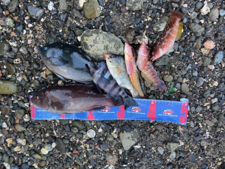 輪島市門前町深見 地磯フカセ