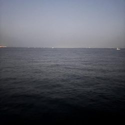 青物シーズン10