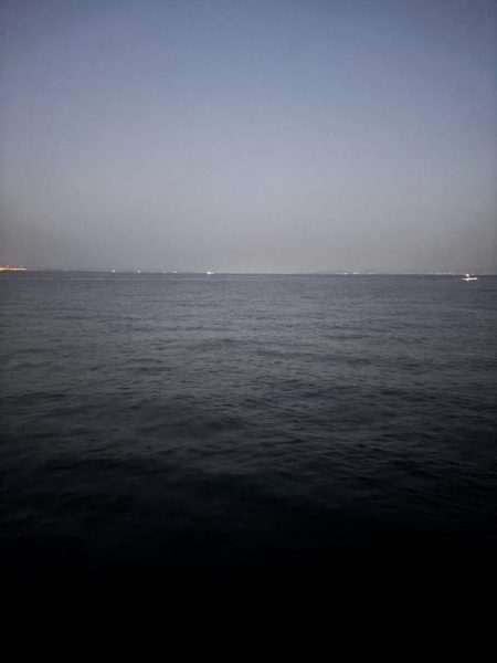 青物シーズン10