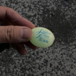 朝マズメのフロートアジング