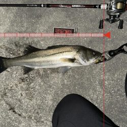 激シブでもボトルは何とかなる！