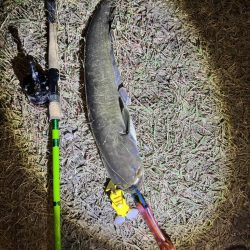 ピカチュウフィッシング