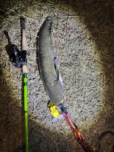 ピカチュウフィッシング