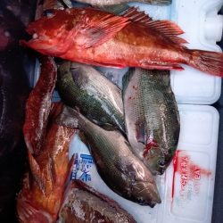 深夜と、朝と。フカセなど