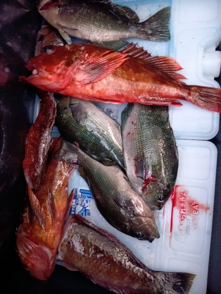 深夜と、朝と。フカセなど