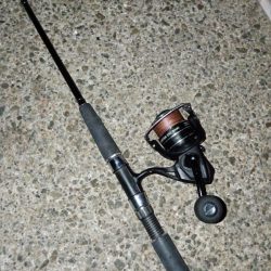 また一匹だけ…