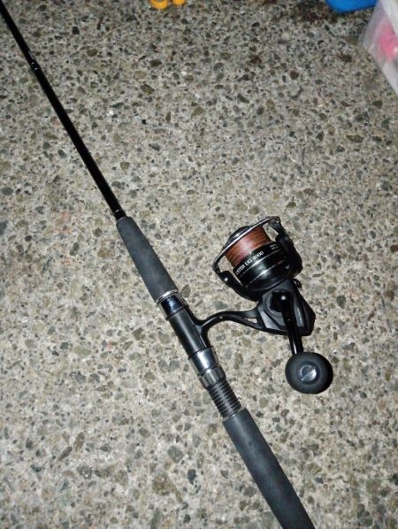 また一匹だけ…