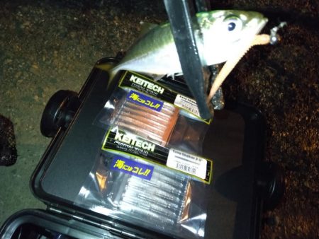 強風ベイトフィネス!