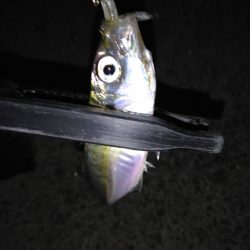 今日は負けない！