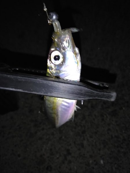 今日は負けない！