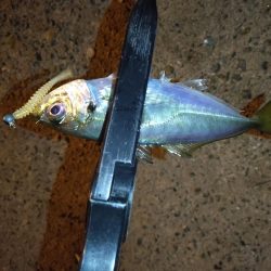 場所が変われば釣果も変わる？