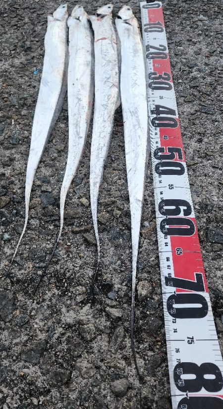 釣り易い釣れない魚