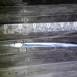 秋も深まり⋯⋯