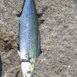 ポイント悪くなってはる？