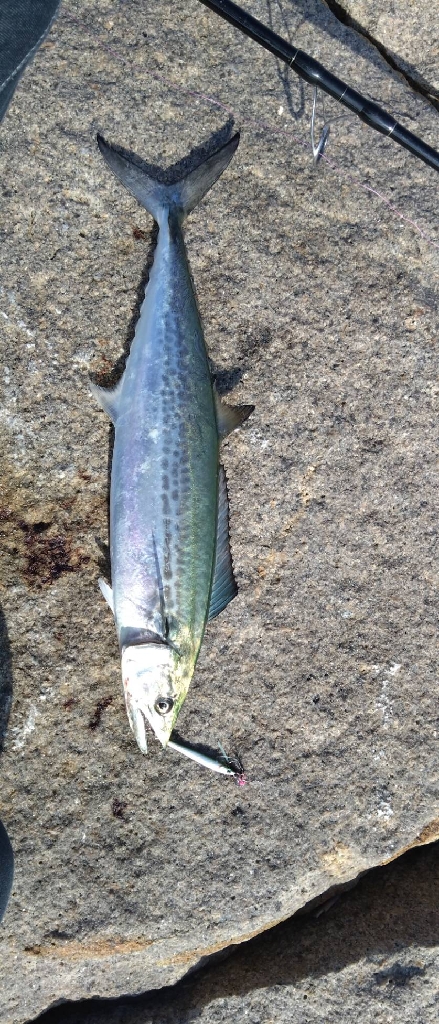 ポイント悪くなってはる？