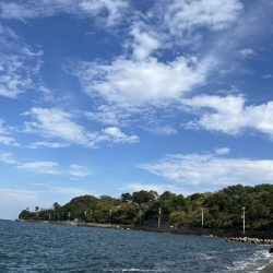 ㊗️初メジロおめでとう㊗️