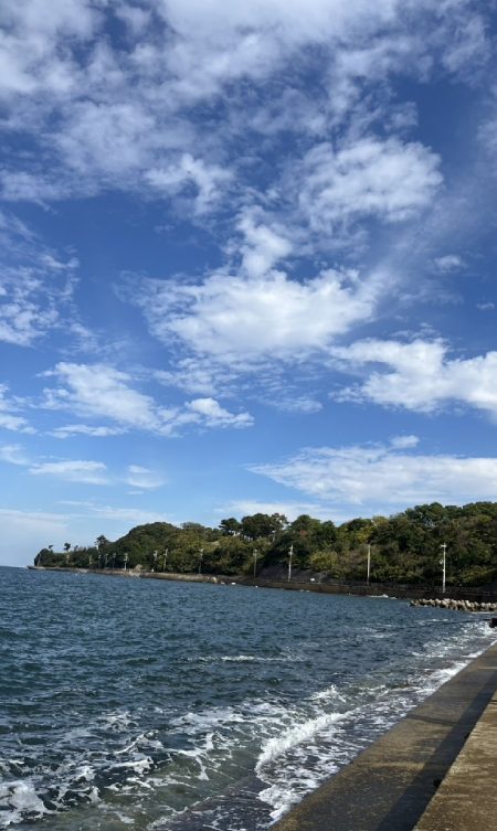 ㊗️初メジロおめでとう㊗️