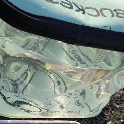 たまにはこんな日も🌟