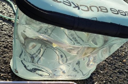 たまにはこんな日も🌟