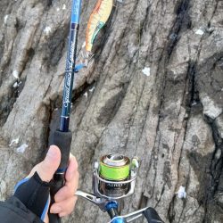 2025秋終盤第六回エギング調査