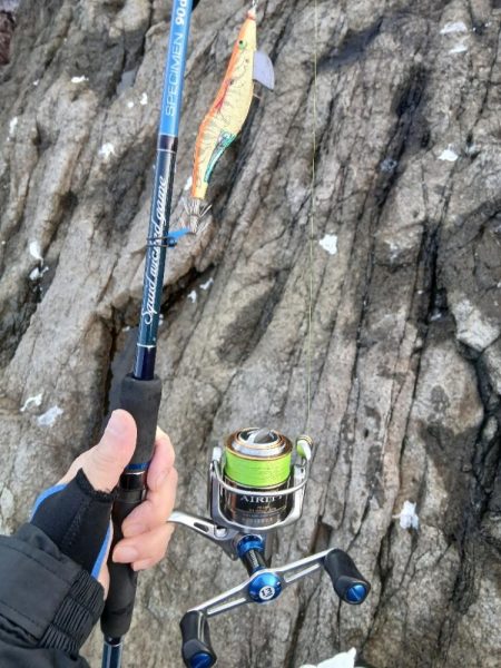 2025秋終盤第六回エギング調査