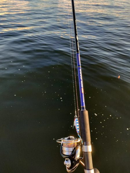 3週間ぶりに今ｼｰｽﾞﾝ5匹目