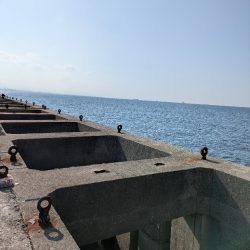 ハードジギングパート2