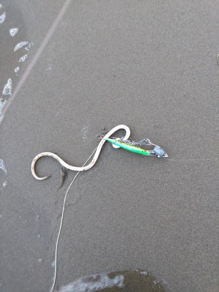 シーバスランカー＋おまけ