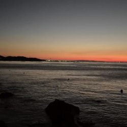 みんな青物は何処へ