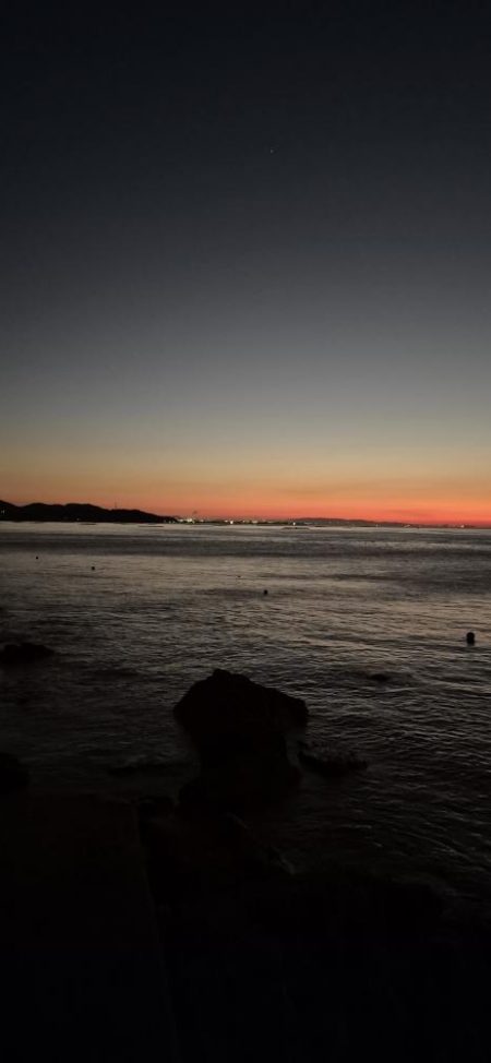 みんな青物は何処へ