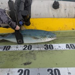 怒涛の5連チャン!でもその後は