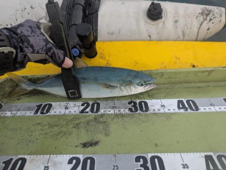 怒涛の5連チャン!でもその後は