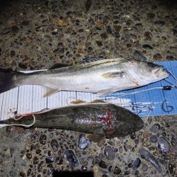 諦めて帰らんでよかった。