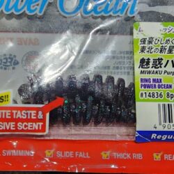 今日は根魚狙いで