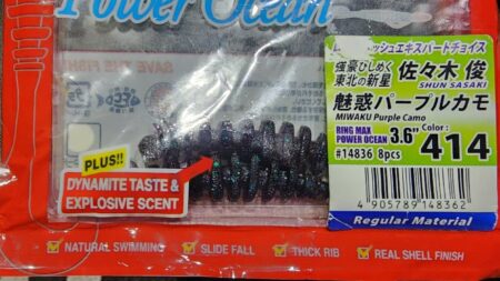 今日は根魚狙いで